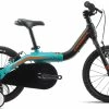 Vélo Enfant Orbea 2019 Grow 1