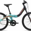 Vélo Enfant Orbea 2019 Grow 2 1V