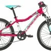 Vélo Enfant Lapierre 2019 Prorace 20 Girl