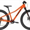 VTT Trek 2019 Roscoe 24