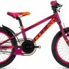 Vélo VTT Enfant Cube 2018 Kid 160 Girl